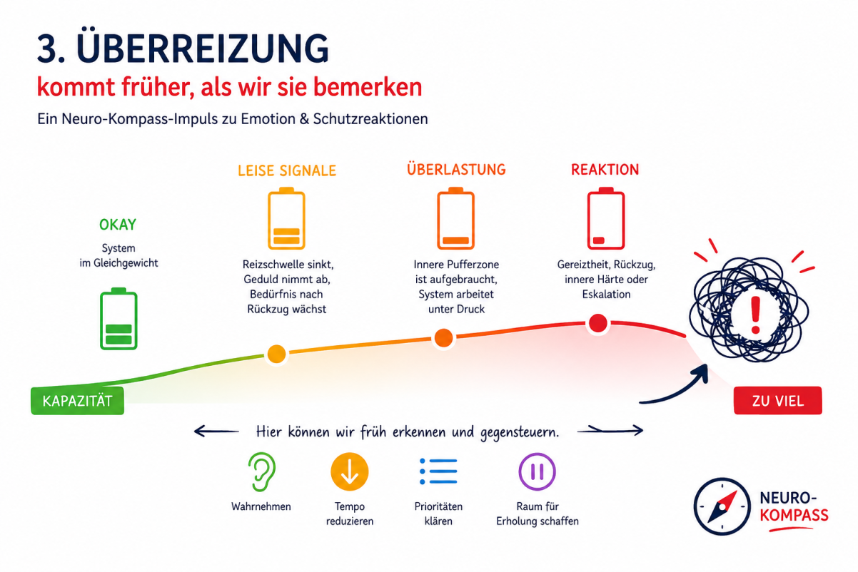 3 Neuro Kompass Überreizung