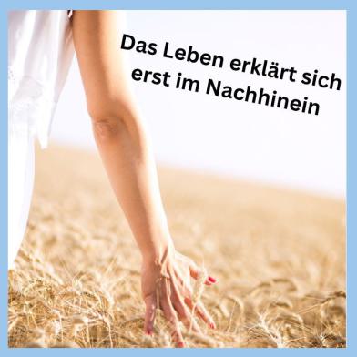 Hand streift durch ein Getreidefeld als Symbol für bewusstes Erleben