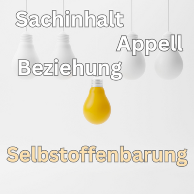 Darstellung der Selbstoffenbarungsebene im Kommunikationsmodell