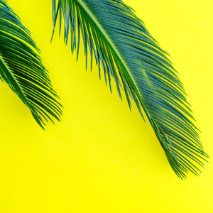 Symbolbild für Geschwister auf einem Aussiedlerhof im Kontext von Familie und Nachfolge